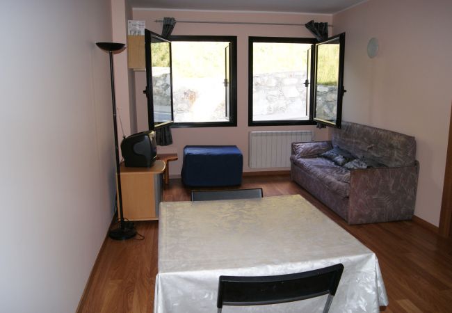 Apartment in Incles - E030218