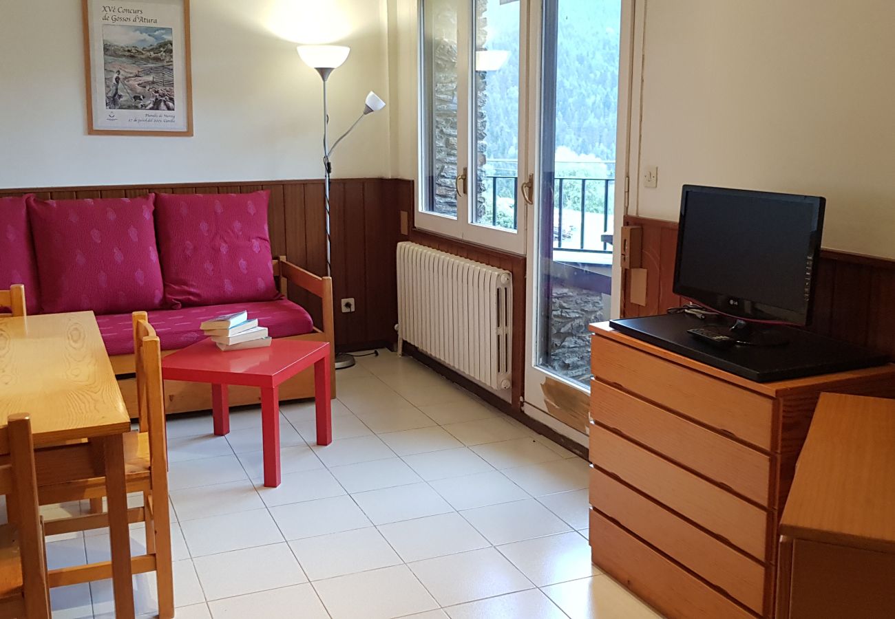 Apartment in Soldeu - E020223