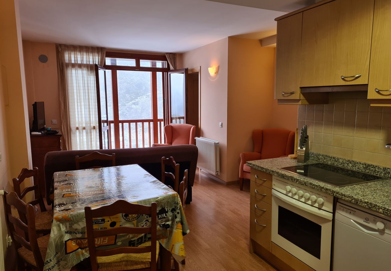Apartment in Soldeu - A020333