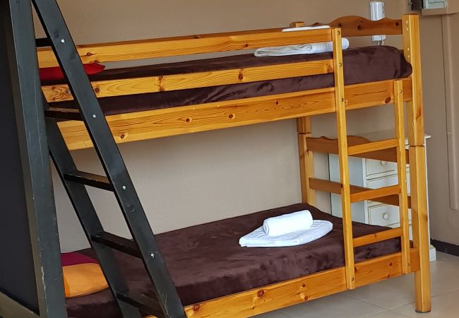 Estudi en El Tarter - Áliga Estudi en El Tarter - Áliga