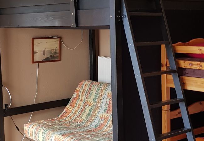 Estudi en El Tarter - Áliga Estudi en El Tarter - Áliga