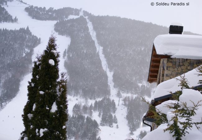 Apartament en Soldeu - Llebre Apartament en Soldeu - Llebre