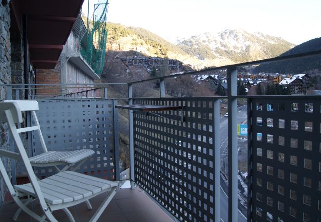 Estudi en El Tarter - Geneta Estudi en El Tarter - Geneta