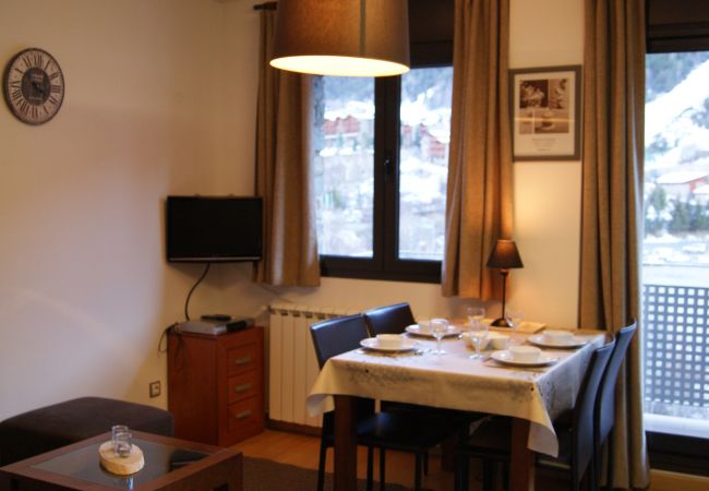 Estudi en El Tarter - Geneta Estudi en El Tarter - Geneta