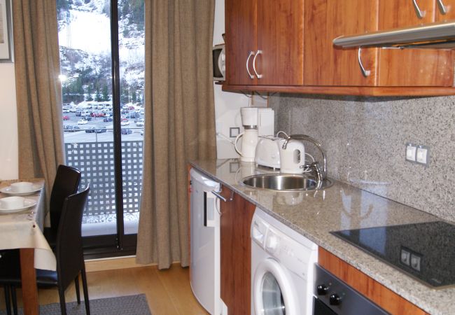 Estudi en El Tarter - Geneta Estudi en El Tarter - Geneta