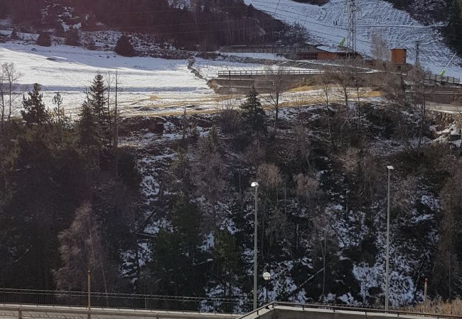 Estudi en El Tarter - Esquirol Estudi en El Tarter - Esquirol