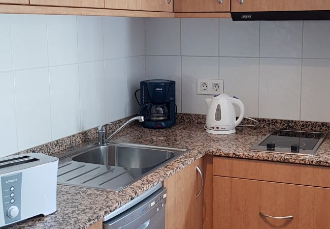 Estudi en El Tarter - Esquirol Estudi en El Tarter - Esquirol