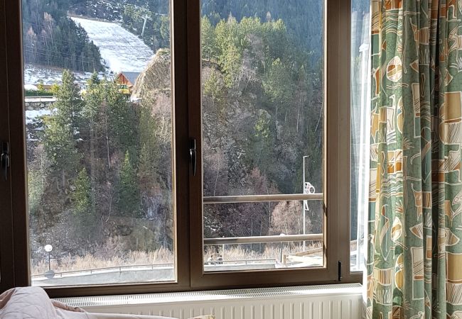 Estudi en El Tarter - Esquirol Estudi en El Tarter - Esquirol