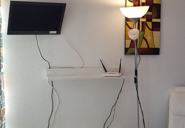 Estudi en El Tarter - Esquirol Estudi en El Tarter - Esquirol