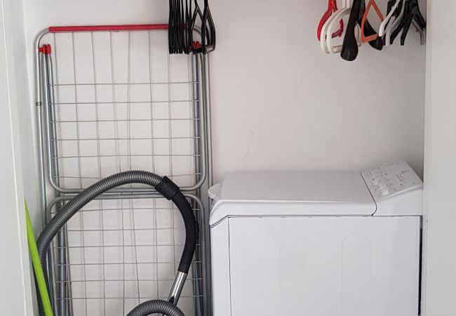 Estudi en El Tarter - Esquirol Estudi en El Tarter - Esquirol